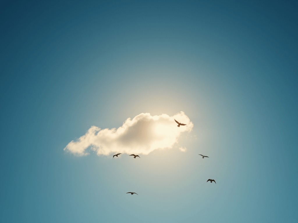 Oques grasses, Serem&nbsp;Ocells